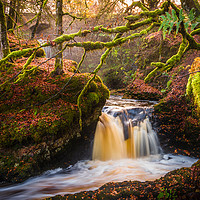 Buy canvas prints of Middle Fall in the Fall by Gareth Burge Photography