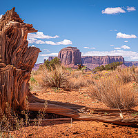 Buy canvas prints of Tree Stump Butte by Gareth Burge Photography