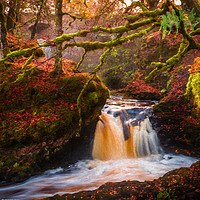 Buy canvas prints of Middle Fall in the Fall by Gareth Burge Photography