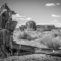 Buy canvas prints of Tree Stump Butte (mono) by Gareth Burge Photography
