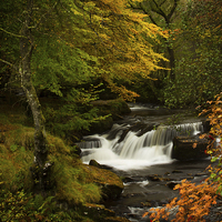 Buy canvas prints of Autumn Waterfall by Sue Dudley