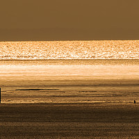Buy canvas prints of Sunset at Brean by Sue Dudley