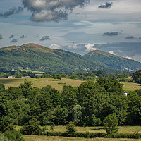 Buy canvas prints of The Malvern Hills from Birtsmorton Common by Sue Dudley