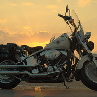 Buy canvas prints of Harley Sunset by David Brooks