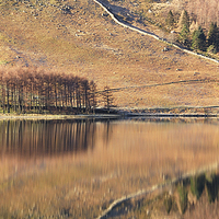 Buy canvas prints of  Buttermere Reflections by Martin Parratt
