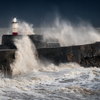 Buy canvas prints of Newhaven Lighthouse by Martin Parratt