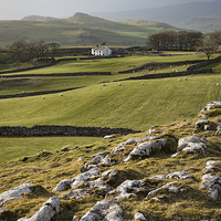 Buy canvas prints of Yorkshire Dales by Martin Parratt