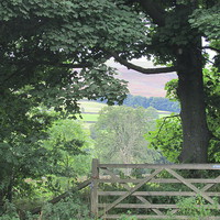 Buy canvas prints of The countrysides View from the Gate by Sylvia howarth