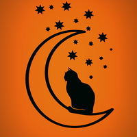 Buy canvas prints of The cat and the moon by Bill Lighterness
