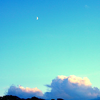 Buy canvas prints of The moon and the blue sky by Bill Lighterness