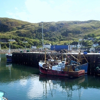 Buy canvas prints of Fishing Boats in Mallaig Harbour by Bill Lighterness