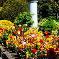 Buy canvas prints of Colourful Gardens of Rememberance by Bill Lighterness