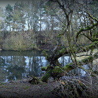Buy canvas prints of Haunted Pond by Bill Lighterness