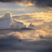 Buy canvas prints of Microlight in a Stormy Sky by Bill Lighterness