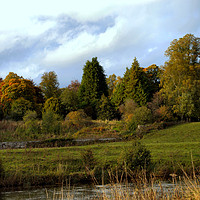 Buy canvas prints of Autumn at the Clyde Valley  by Bill Lighterness