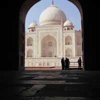 Buy canvas prints of Spying on the Taj Mahal by Sophia Yarwood