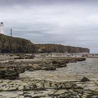 Buy canvas prints of Rocky Lighthouse by Purple OneTwoEight