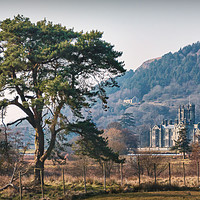 Buy canvas prints of Margam Castle by Purple OneTwoEight