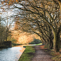 Buy canvas prints of Canal Side by Purple OneTwoEight