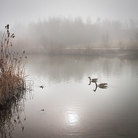 Buy canvas prints of Sunny Foggy Morning by Purple OneTwoEight