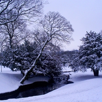 Buy canvas prints of Buxton Snow by Laura Kenny