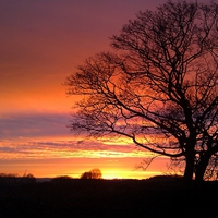 Buy canvas prints of Derbyshire Sunset by Laura Kenny