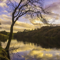 Buy canvas prints of Goyt Valley by Laura Kenny