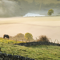 Buy canvas prints of  Early morning mist by Laura Kenny