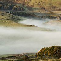 Buy canvas prints of  Autumn mist by Laura Kenny