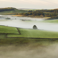 Buy canvas prints of  Misty Hills by Laura Kenny