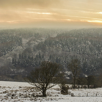 Buy canvas prints of Winter in Goyt Valley by Laura Kenny