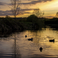 Buy canvas prints of  Evening on the water by Laura Kenny