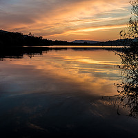 Buy canvas prints of Reflections by Laura Kenny