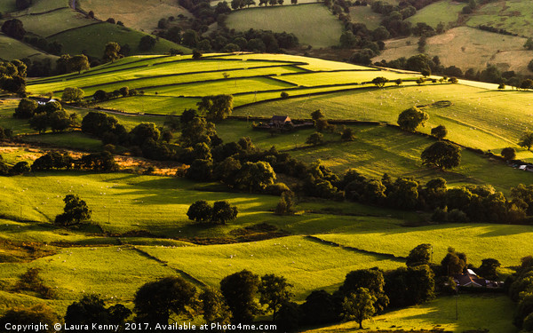 Green, green hills. Canvas Print by Laura Kenny