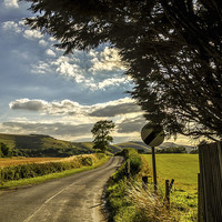 Buy canvas prints of The Road to Small Dole by Peter McCormack