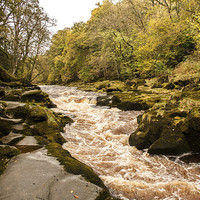 Buy canvas prints of The Strid on the River Wharfe by Peter McCormack