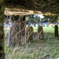Buy canvas prints of Spiders View of Cemetery by Peter McCormack