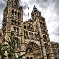 Buy canvas prints of Natural History Museum by Paul Austen