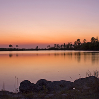Buy canvas prints of Pine Glades Lake At Sunset by Anne Rodkin