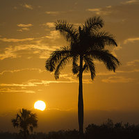 Buy canvas prints of Sunrise in The Everglades by Anne Rodkin