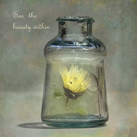 Buy canvas prints of Message in a Bottle by angie vogel