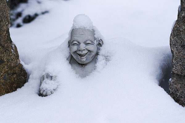Happy Buddha in Snow Picture Board by Steven Ralser
