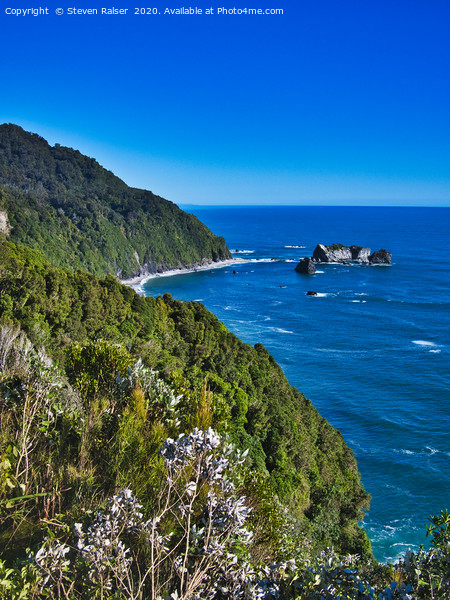 Arnott Point  New Zealand Picture Board by Steven Ralser