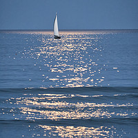 Buy canvas prints of Moonlight Sail - Ogunquit Beach - Maine by Steven Ralser