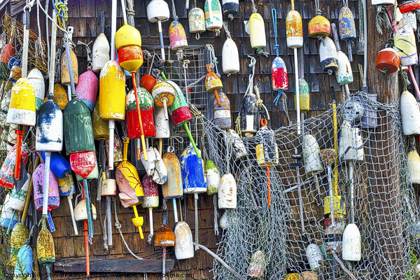Lobster Buoys on Wall, Cape Neddick, Maine, USA  Picture Board by Steven Ralser