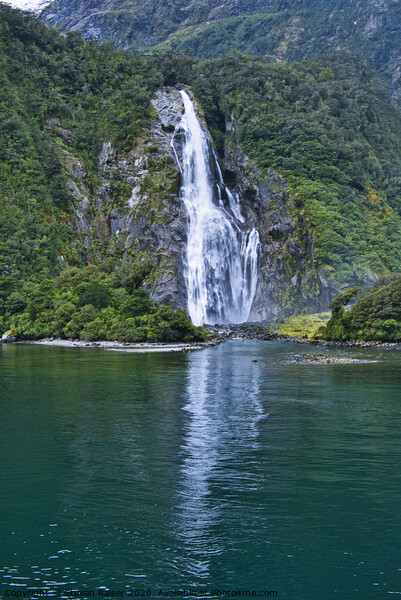 Lady Bowen Falls, Milford Sound, New Zealand Picture Board by Steven Ralser