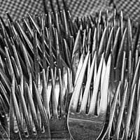 Buy canvas prints of Forks  by Steven Ralser