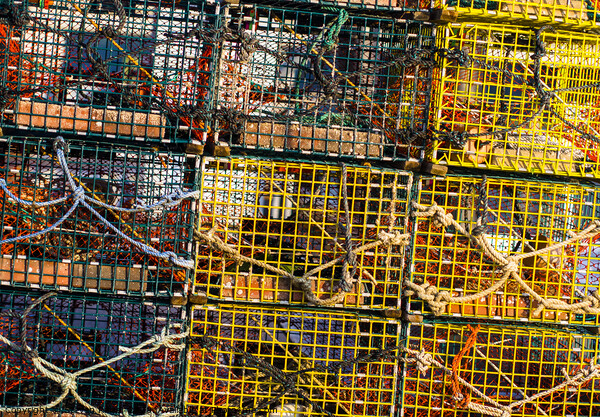 Lobster Pots, York, Maine Picture Board by Steven Ralser