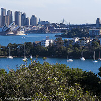 Buy canvas prints of Sydney Harbour, Australia  by Steven Ralser