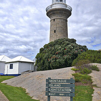 Buy canvas prints of Montague Island Lighthouse - Australia by Steven Ralser